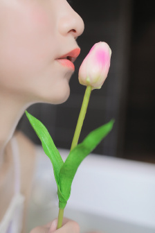 龙珠巴达克之章